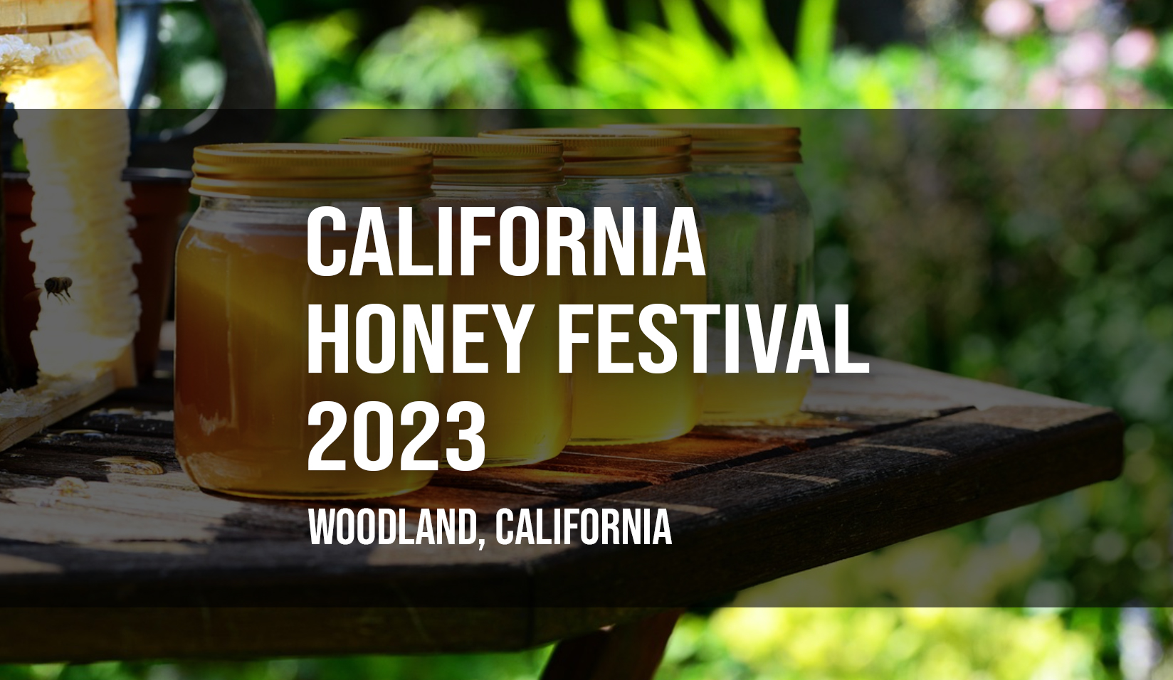 California Honey Festival 2023 in Woodland, California Woodland Buzz